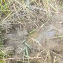 대명목욕탕 이미지