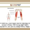 준피티샵 이미지