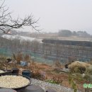 잉꼬농원 이미지