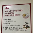 동탄하이디펫 | 동탄애견카페 하이디펫 방문 후기