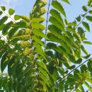 비산 빗물펌프장 이미지