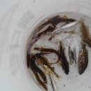 팔봉산관광지 이미지