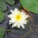 산촌사랑 이미지