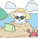 망고펫살롱 네이버블로그