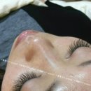 미를붙이다 이미지