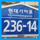 세광오토 이미지