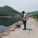 씨유 밀양단장강변점 | [청도 하류보유원지] 2026년 5월 재개방 노지캠핑후기
