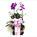 동영철물 이미지