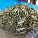 비타민민박 이미지