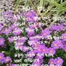푸른달 티스토리