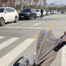 봉곡동175 | 잉글레시나 퀴드3 휴대용유모차 내돈내산 후기