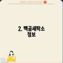 백곰세탁소 이미지