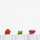 교하동사무소 | 운정 단수, 겪어보니 알겠네! 복구 정보 &amp; 꿀팁 총정리 (ft. 생수 지원)