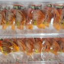 송원농장 이미지