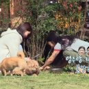 수련민박 네이버블로그