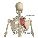세종시365으랏차한의원 이미지