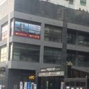 송파원데이클래스 문정동식물 스튜디오지담 문샤인 산세베리아