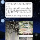 패브릭 히얼