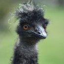 달콤커피안양1번가점 이미지