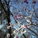 오늘도 봄 이미지