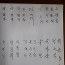 (유)세기여행사