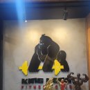 휘트니스 킹콩 | 울산 동구 헬스장 킹콩휘트니스 pt 리얼후기