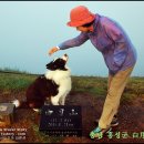 명견 | 충남 홍성군 매력적인 백월산 정상 탐방!..