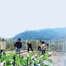 밀알천사 네이버블로그