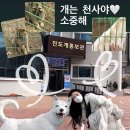 재봉틀 | [진도] 전남 핫플 "구름숲아토리" 한옥카페 방문 후기!