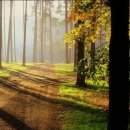 Along The Road / Dan Fogelberg 이미지
