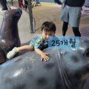 18개월 아기랑 겨울 제주도 애월,성산 가볼만한 곳 여행지 &amp; 카페 추천!