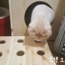 두류동물병원 이미지