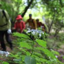 추성마을 이미지