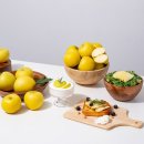 정품푸드