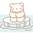 싱귤러커피