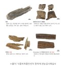 다낭 침향 구매 전 필독! 가짜 침향 구별법