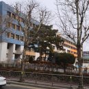 범계초등학교 앞 이미지