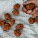 귀족호도 이미지