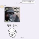 복합극 “울 줄 모르는 고양이” | 블로그 미루고 미루다가 몰아서 쓰기 ◜◡◝