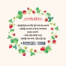 하남 섬스튜디오 촬영 상담 및 후기 (지니 작가님, 은숙 이모님)