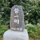 광석1리 네이버블로그