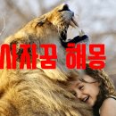 돼지꿈행운농장 이미지