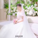 아펠가모 결혼식 스냅 촬영후기 반포점 웨딩본식촬영 - 빛새김사진관 웨딩본식촬영 채플웨딩홀 결혼...