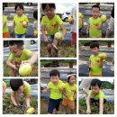 오렌지동화나라유치원 이미지