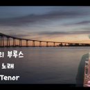 김치부루스 이미지