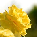 칠곡 해은고택 이미지