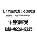 제주연합재활의학과의원 이미지