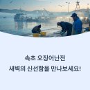 오징어천국 이미지