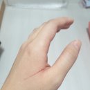 [자미원 화장품 후기] 내돈내산 6년 사용 - 오랜만에 돌아왔어요!