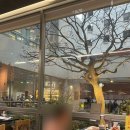 해운대 해변로 | 부산미슐랭맛집 해운대 암소갈비 생갈비 감자사리 캐치테이블 후기